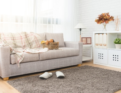 Fall Savings: How Regular Carpet and Rug Maintenance Can Save Money