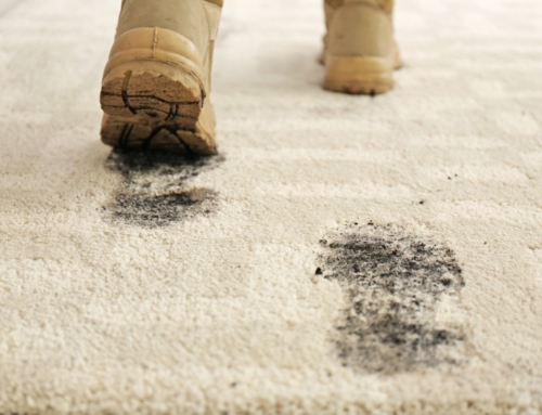 How Snow, Salt, and Mud Damage Your Carpet & How To Fix It